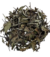 China White Tea (Gong Mei)
